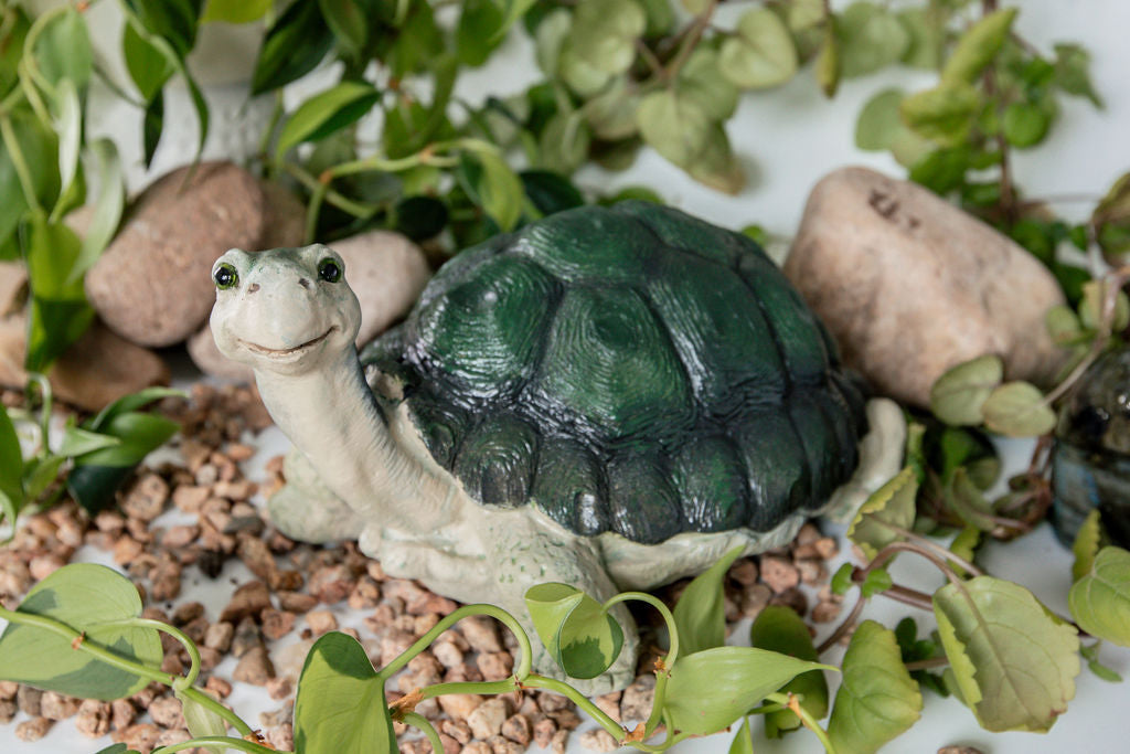 Smiling Titus the Tortoise Handmade Concrete Sculpture - GREEN Shell